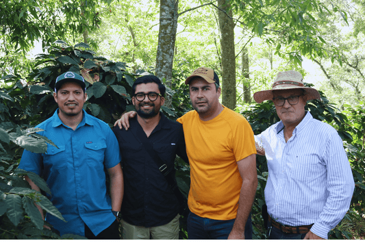 Nuestra visita a finca en Veracruz..